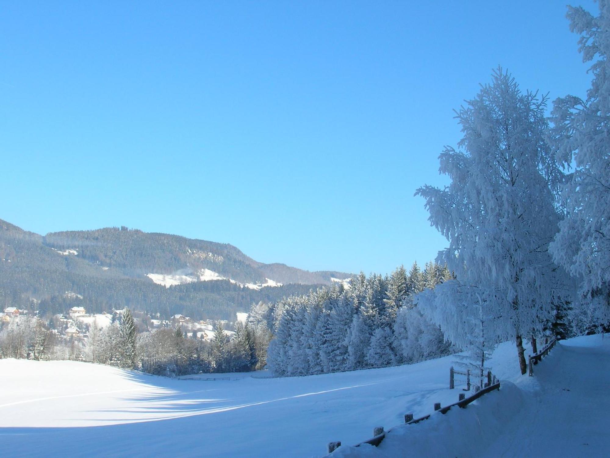 Ferienwohnungen Seifterhof Sankt Andra im Lungau ภายนอก รูปภาพ